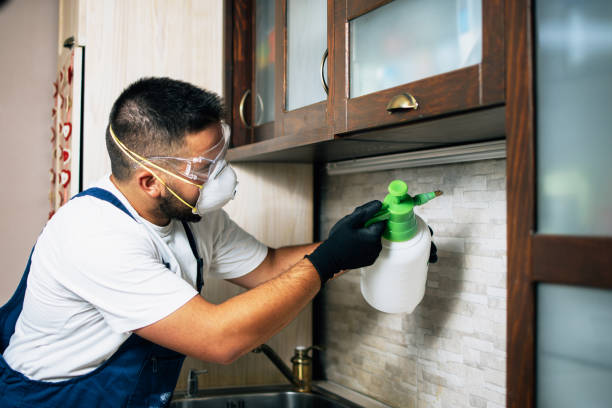 Best Flea Control Services  in Labarque Creek, MO