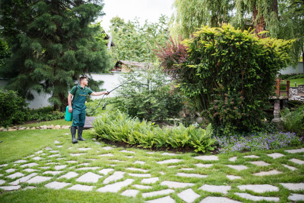 Best Best Pest Control Companies  in Labarque Creek, MO