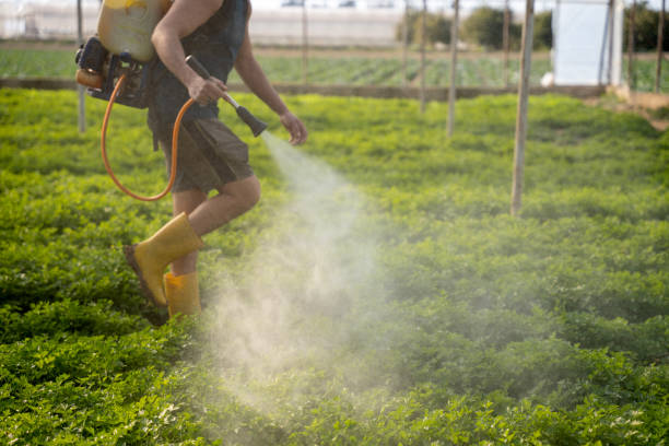 Best Affordable Pest Control Services  in Labarque Creek, MO