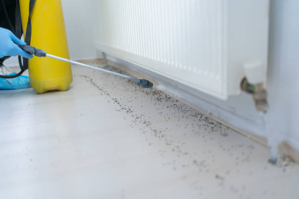 Best Best Pest Control Companies  in Labarque Creek, MO
